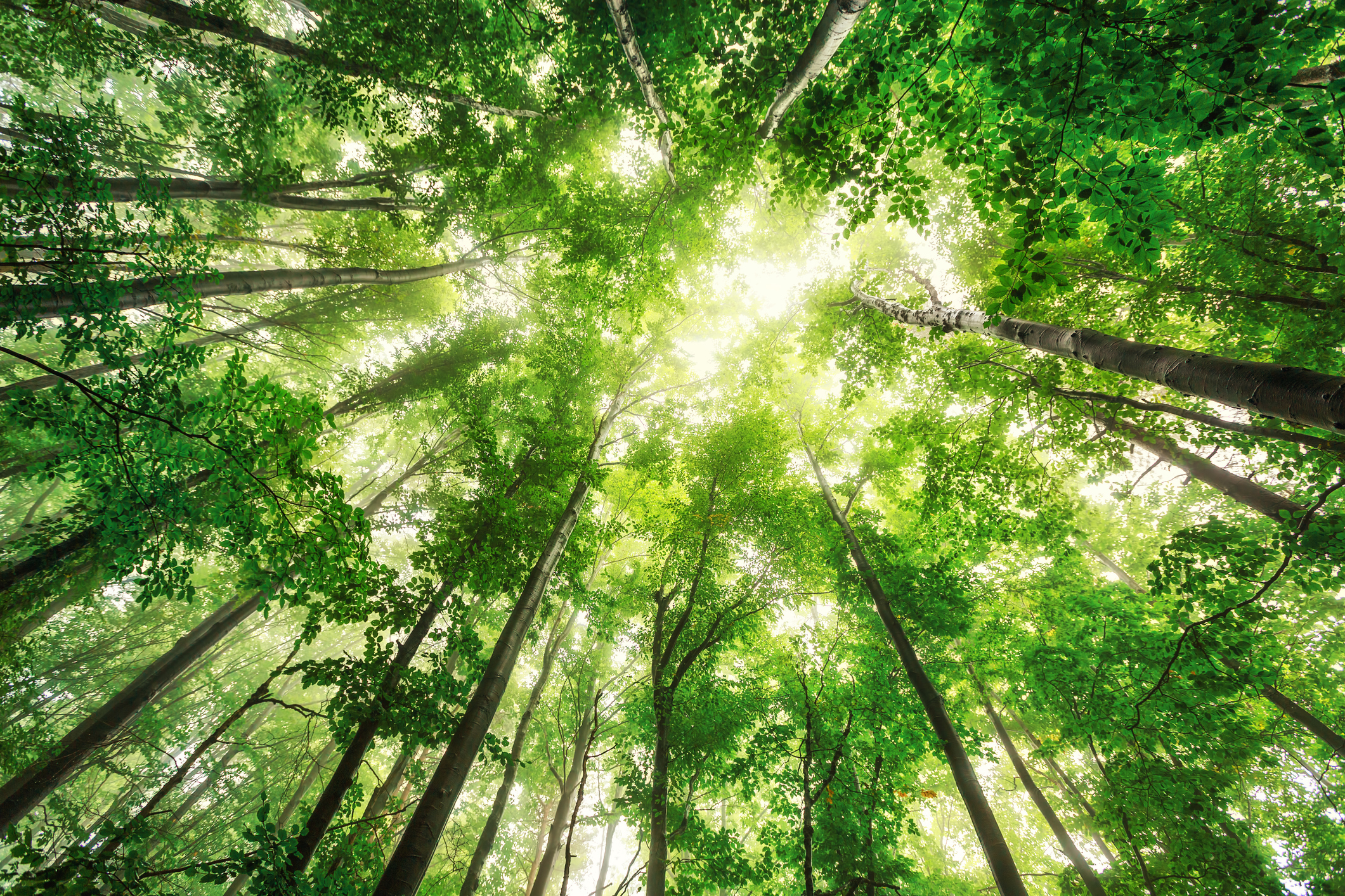 CtrlPrint Sustainability Glossary