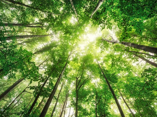 Recording: Navigating the ESRS Taxonomy and the path to a CSRD compliant report